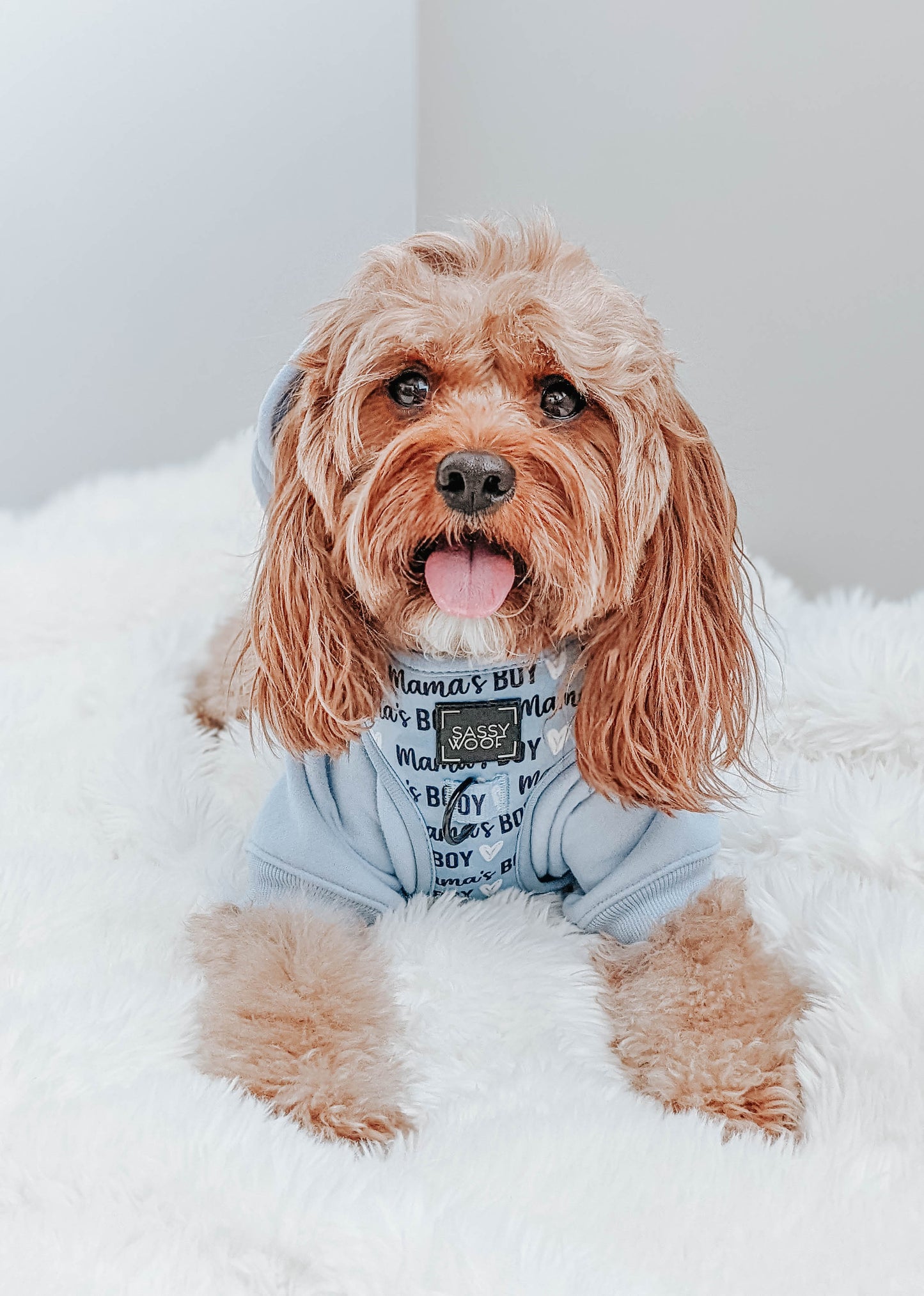 Dog Four Piece Bundle - Mama's Boy
