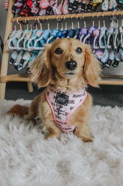 Dog Adjustable Harness - Mama's Girl