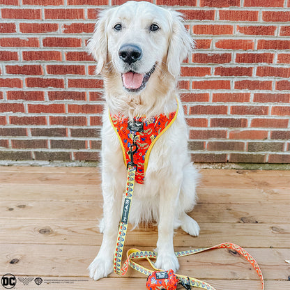 Dog Adjustable Harness - Wonder Woman™