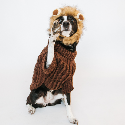Pet Cable Knit Sweater - Brown