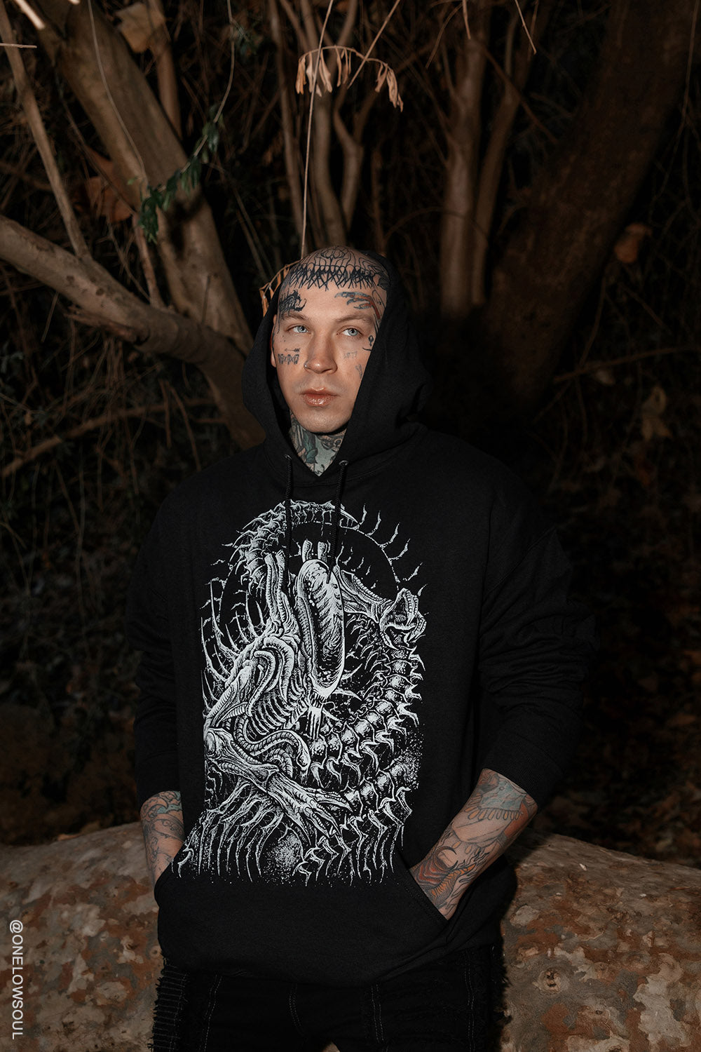 Alien Abduction Hoodie