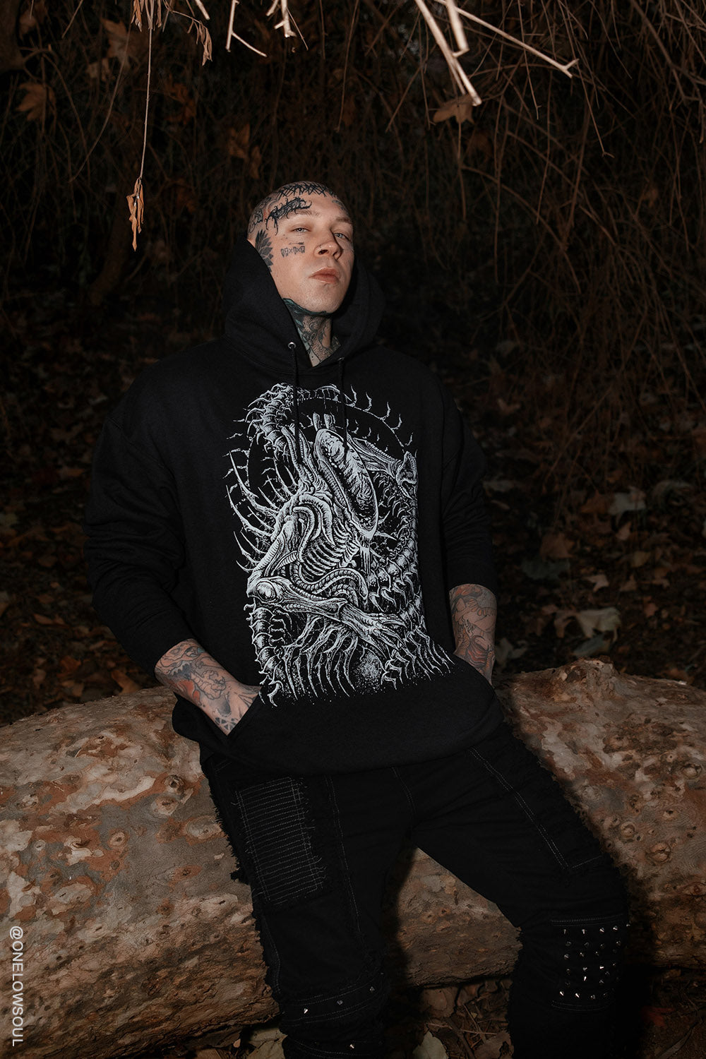 Alien Abduction Hoodie
