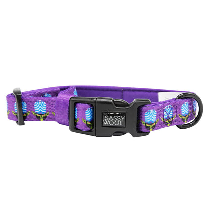Dog Collar Three Piece Bundle - Mojo Jojo™