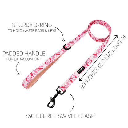 Dog Collar Three Piece Bundle - Mykonos