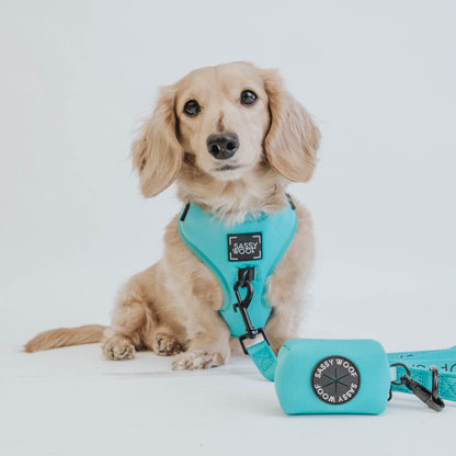Dog Waste Bag Holder - Neon Blue