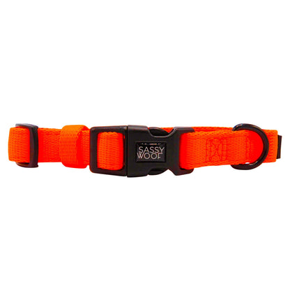 Dog Collar Three Piece Bundle - Neon Orange