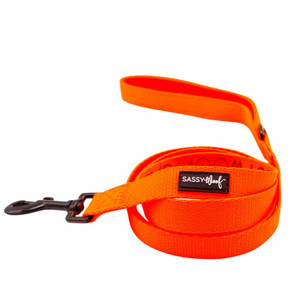 Dog Collar Three Piece Bundle - Neon Orange