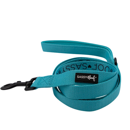 Dog Collar Three Piece Bundle - Neon Blue