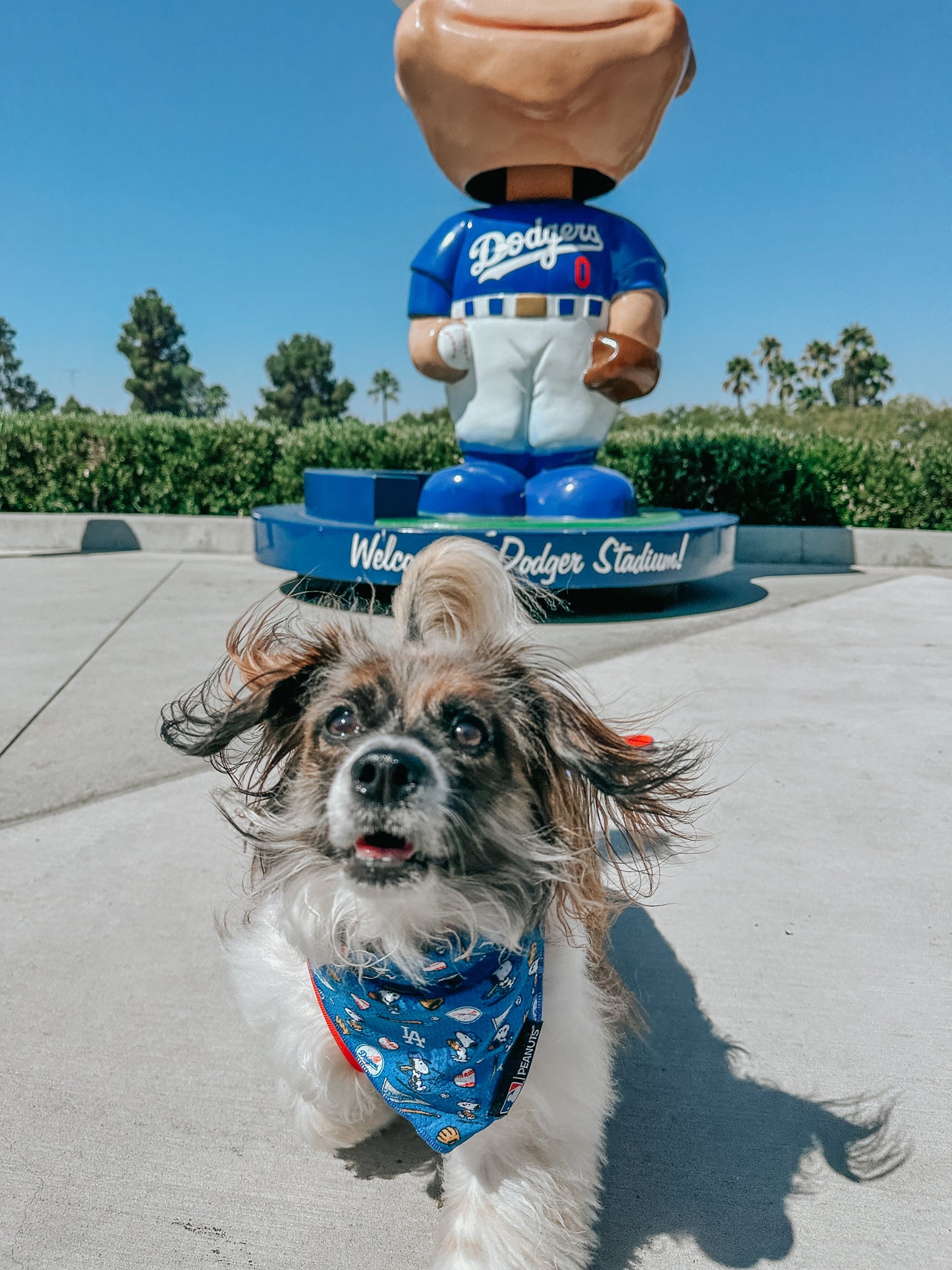 Dog Bandana - MLB™ x Peanuts™ Los Angeles Dodgers™