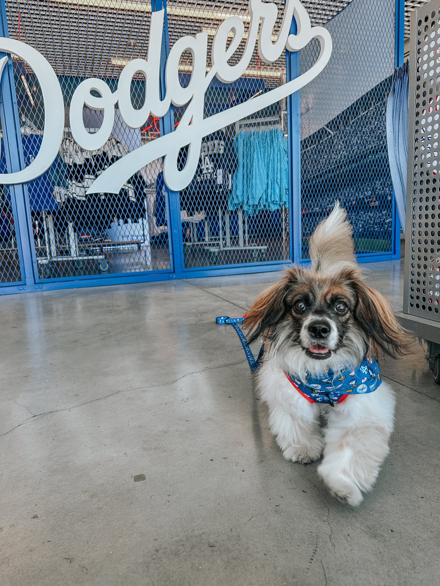 Dog Two Piece Bundle - MLB™ x Peanuts™ Los Angeles Dodgers™