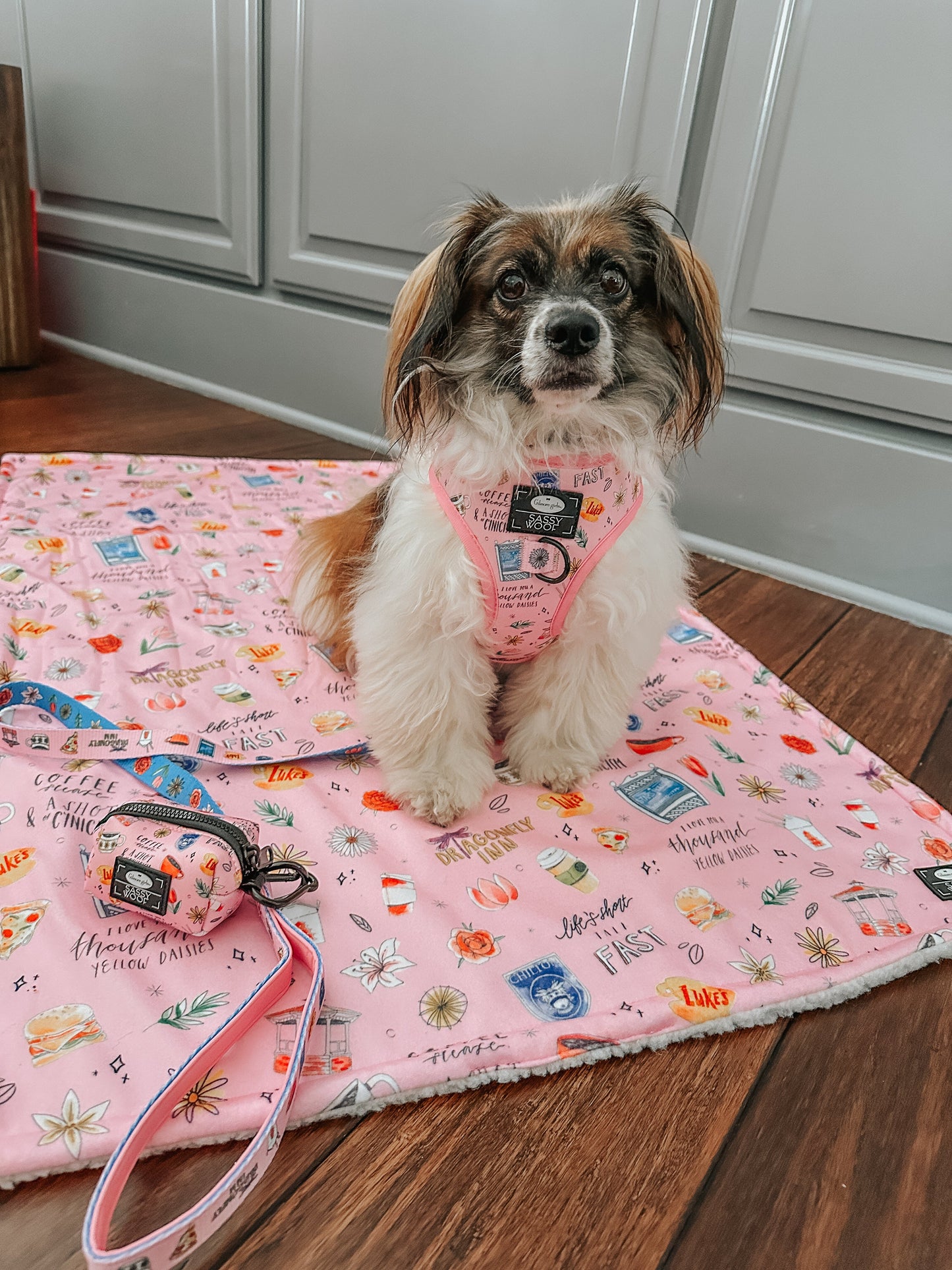 Dog Four Piece Bundle - Gilmore Girls™