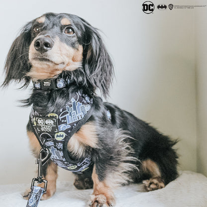 Dog Collar - Batman™