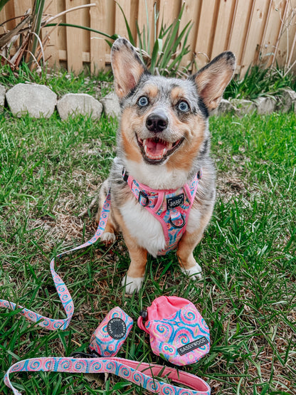 Dog Two Piece Bundle - Good Vibes