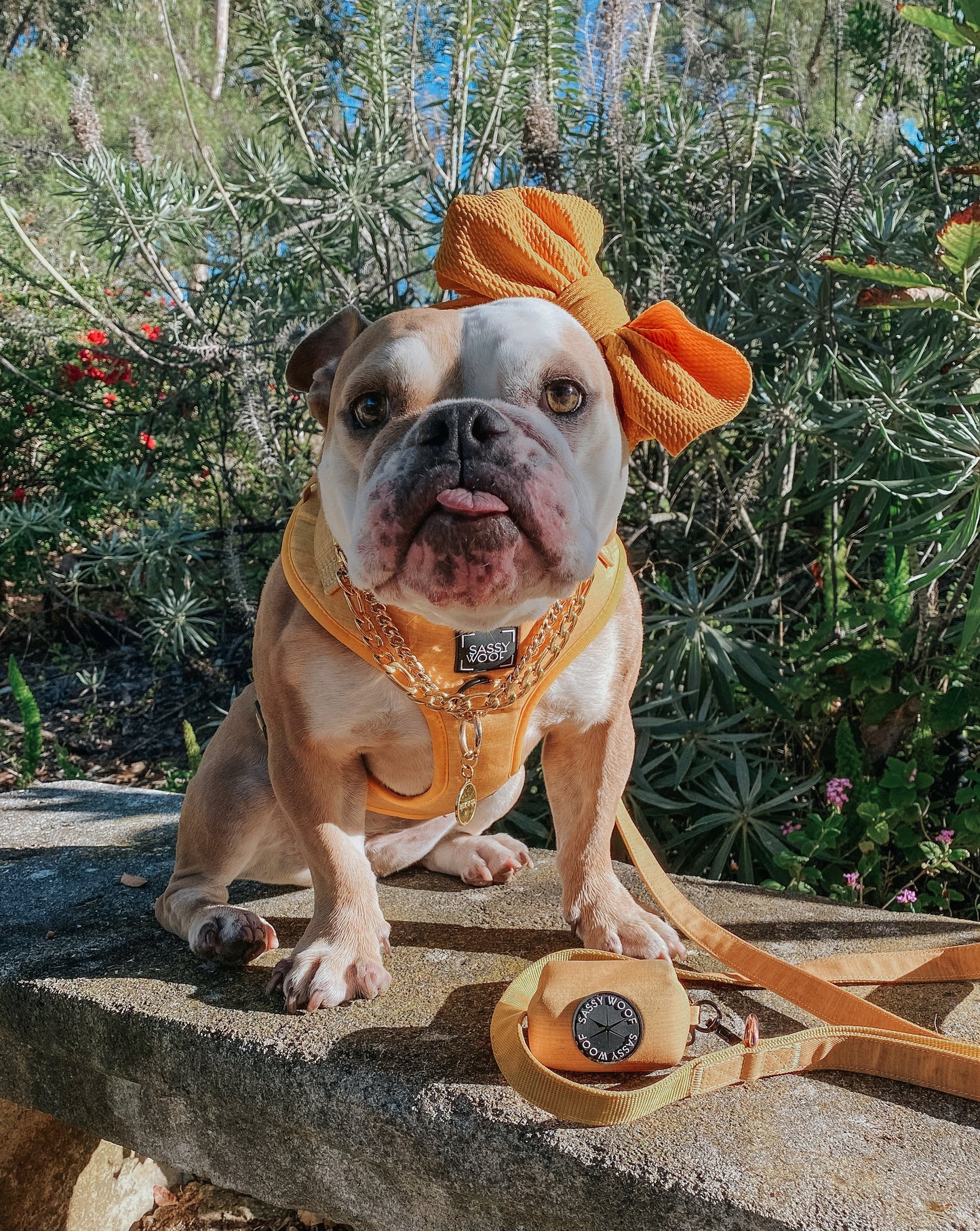 Dog Four Piece Bundle - Sunflower Fields
