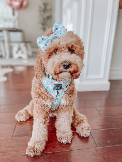 Dog Collar - Sweets & Pawfee