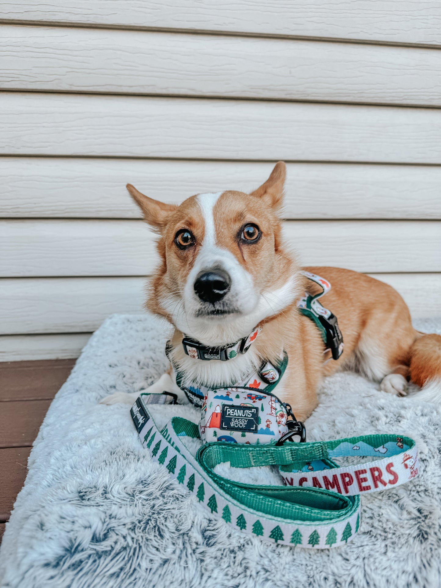 Dog Three Piece Bundle - Peanuts™ Beagle Scouts