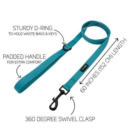 Dog Collar Three Piece Bundle - Neon Blue