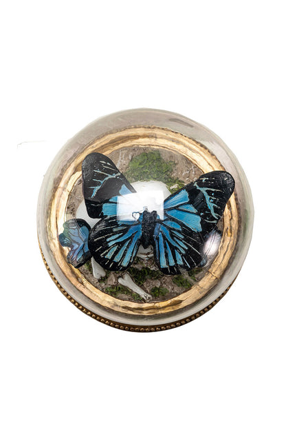 Butterfly Skull Cloche