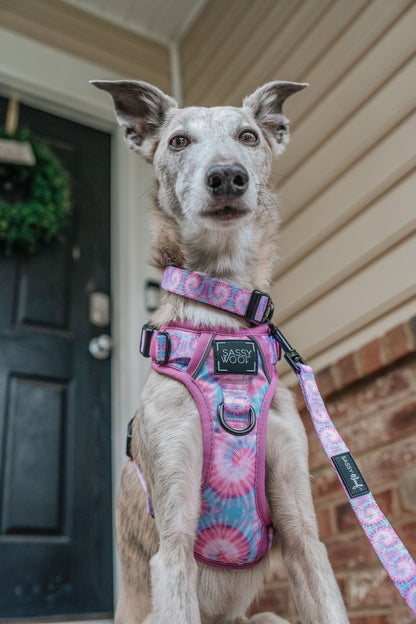 Dog Three Piece Bundle - Purple Haze
