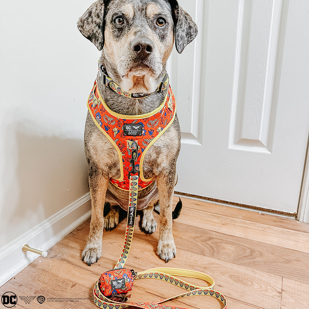 Dog Waste Bag Holder - Wonder Woman™