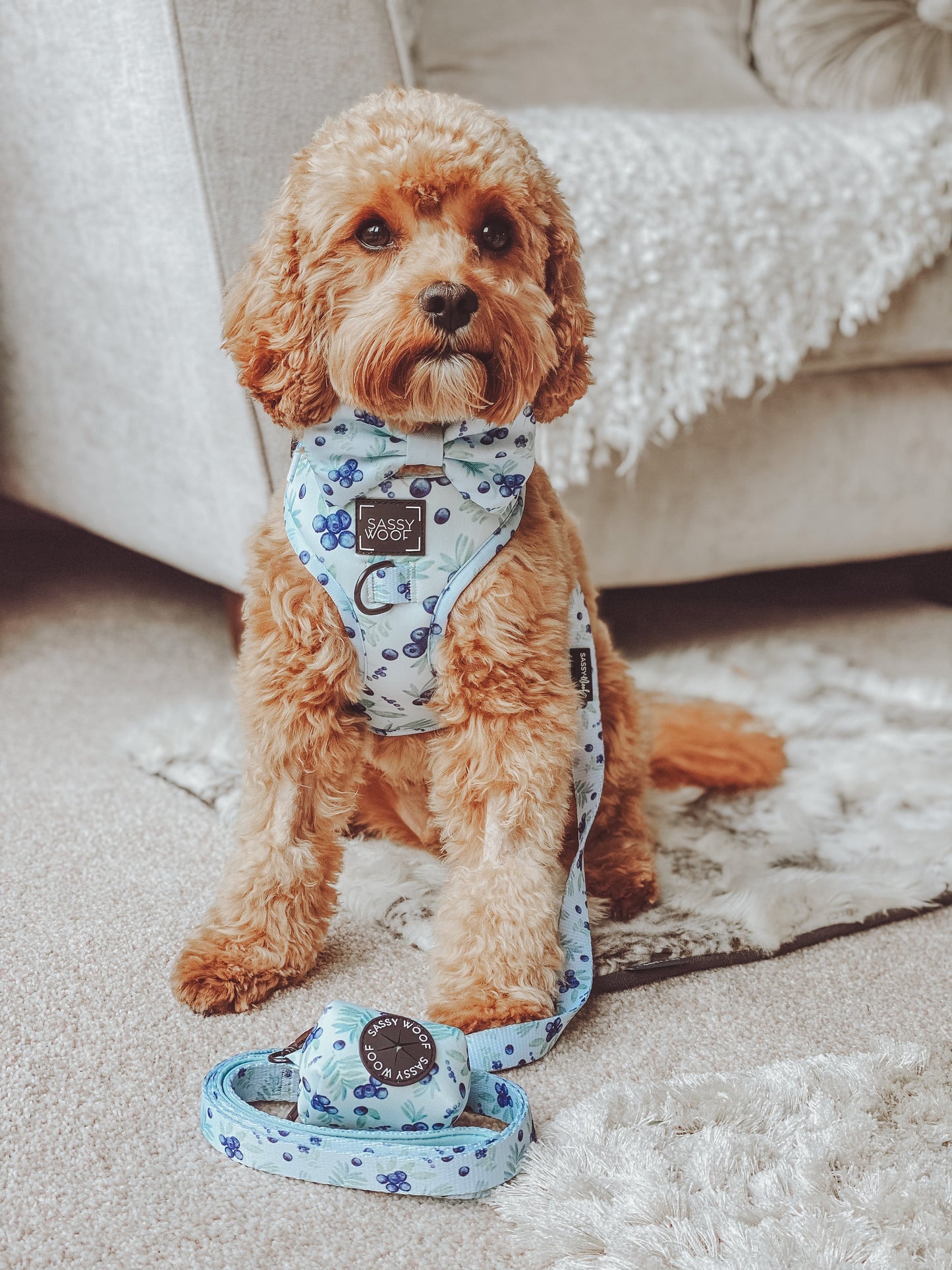 Dog Waste Bag Holder - Berry Sassy