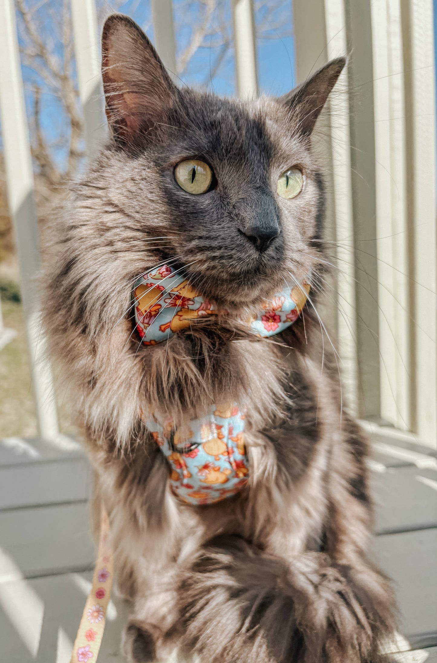 Cat Bowtie - Good Duck, Babe!