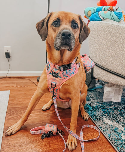 Dog Two Piece Bundle - Good Vibes