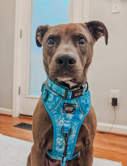 Dog Two Piece Bundle - Tropical Tides